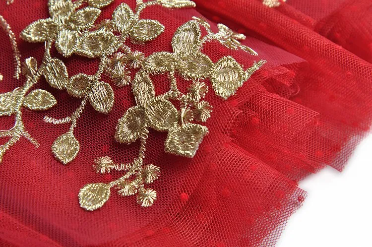 Anna Mesh Dress V-Neck Gold Thread Flowers Embroidery Vintage Party Long Dress
