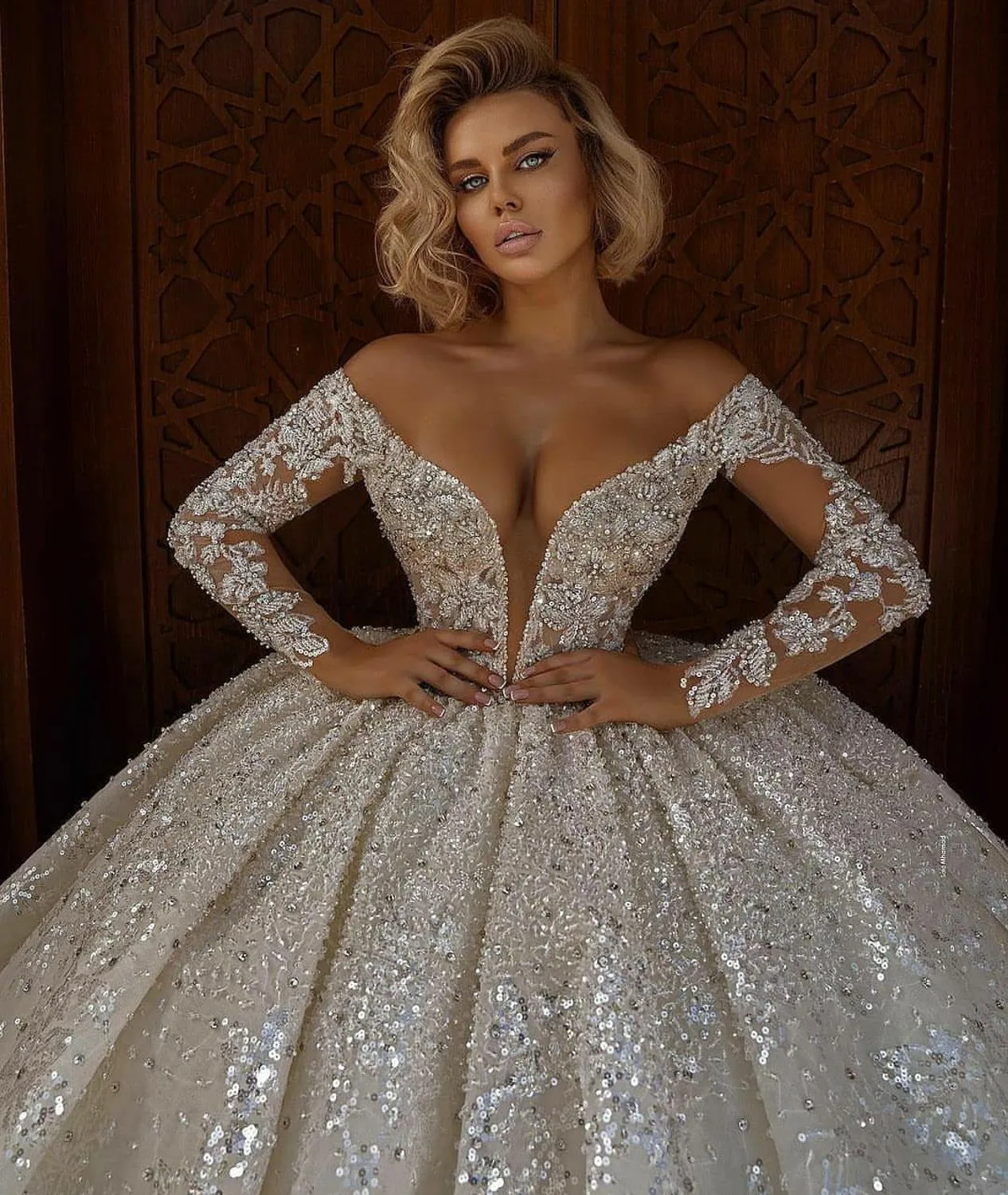 Long Sleeves Deep V Neck Bridal Plus Size Wedding Gowns