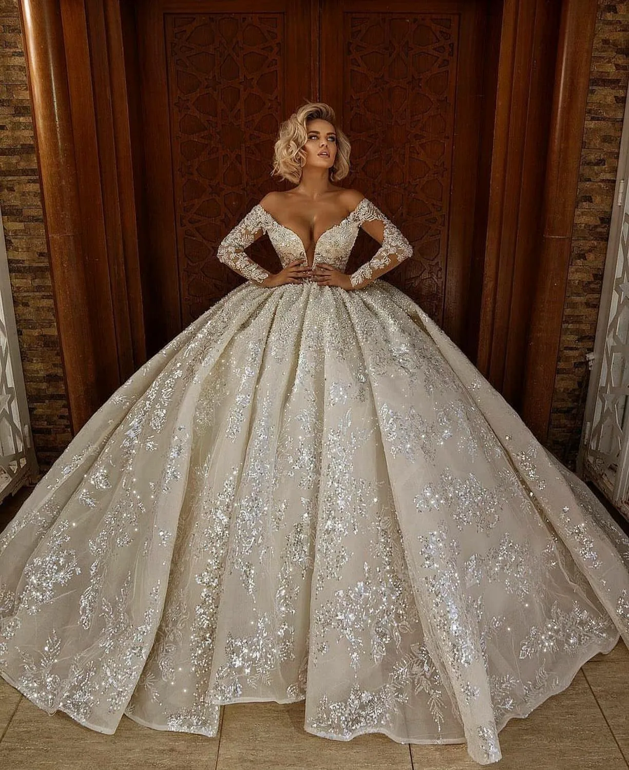 Long Sleeves Deep V Neck Bridal Plus Size Wedding Gowns