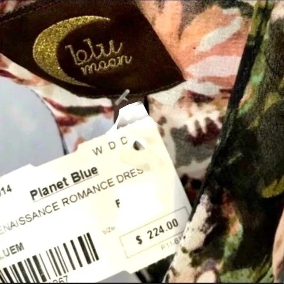 Planet Blue Blu moon renaissance ruffle Floral mini dress XSmall off the back
