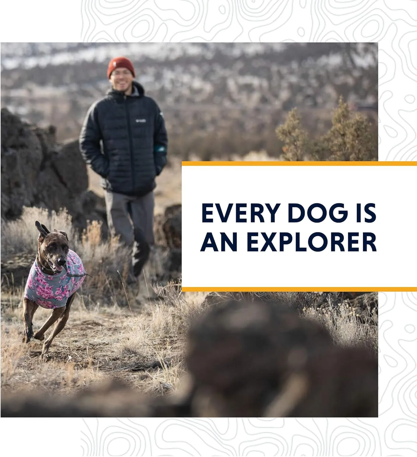 Ruffwear Summit Trex Pair