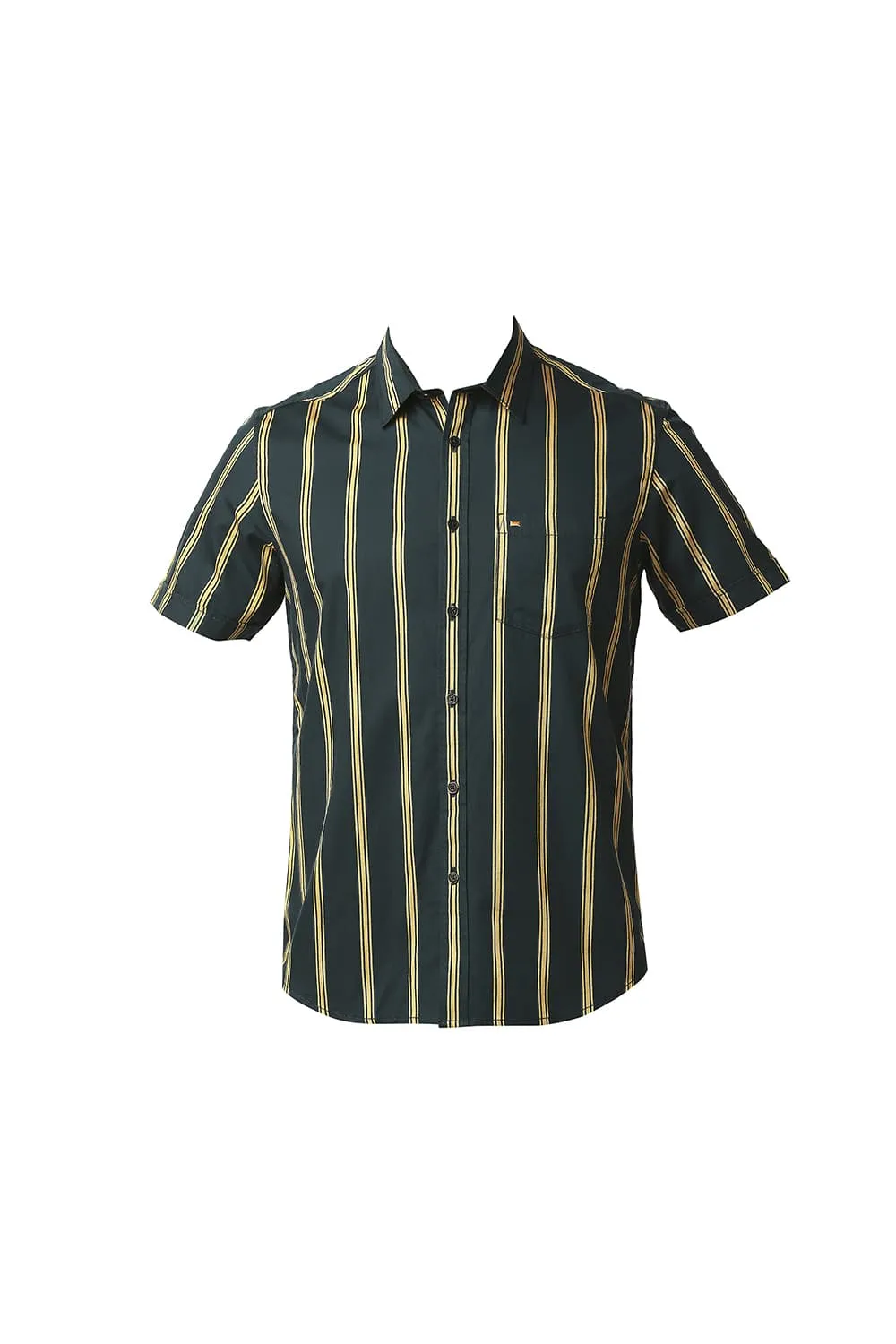 Slim Fit Twill Stripe Halfsleeves Shirt