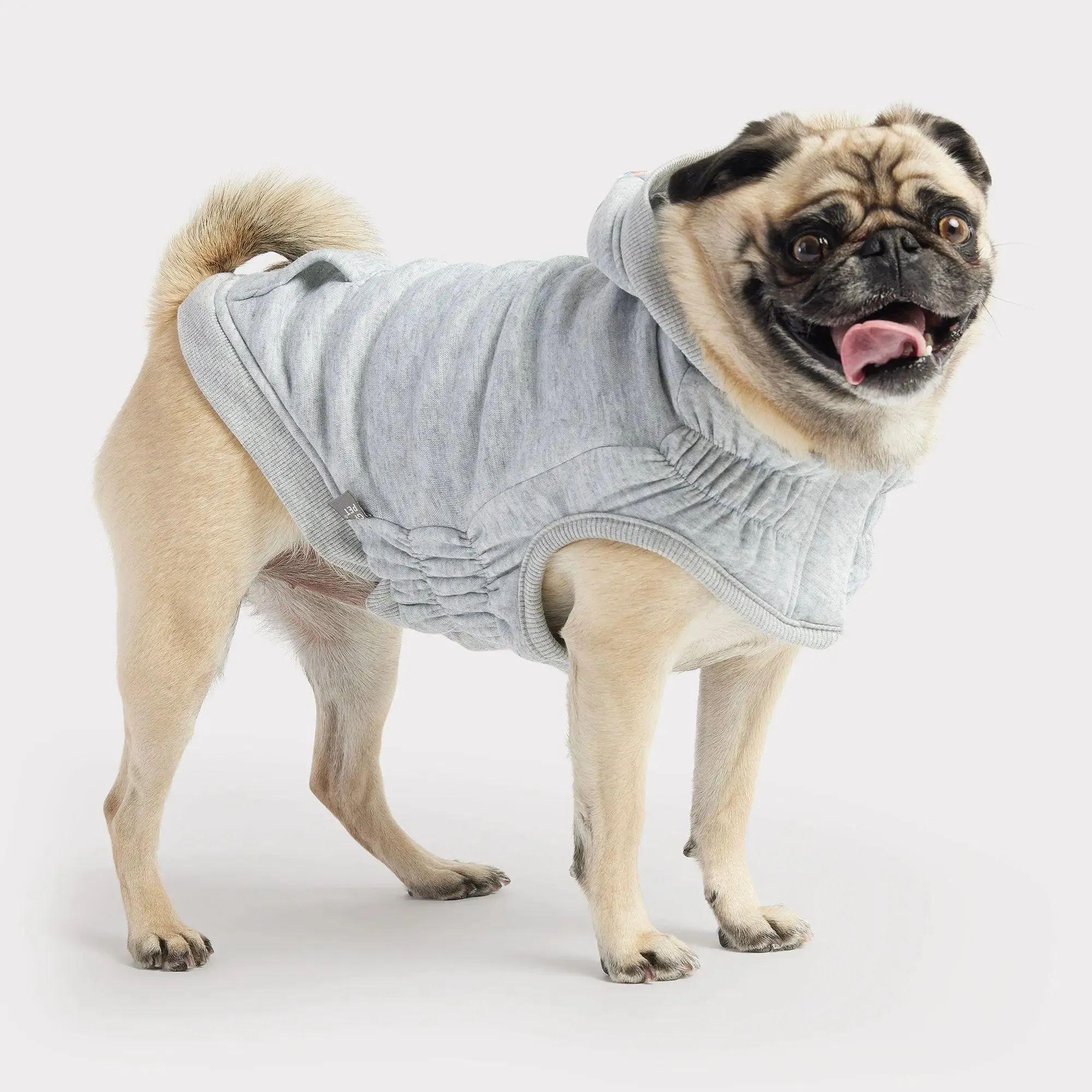 Urban Dog Hoodie | Heather Grey