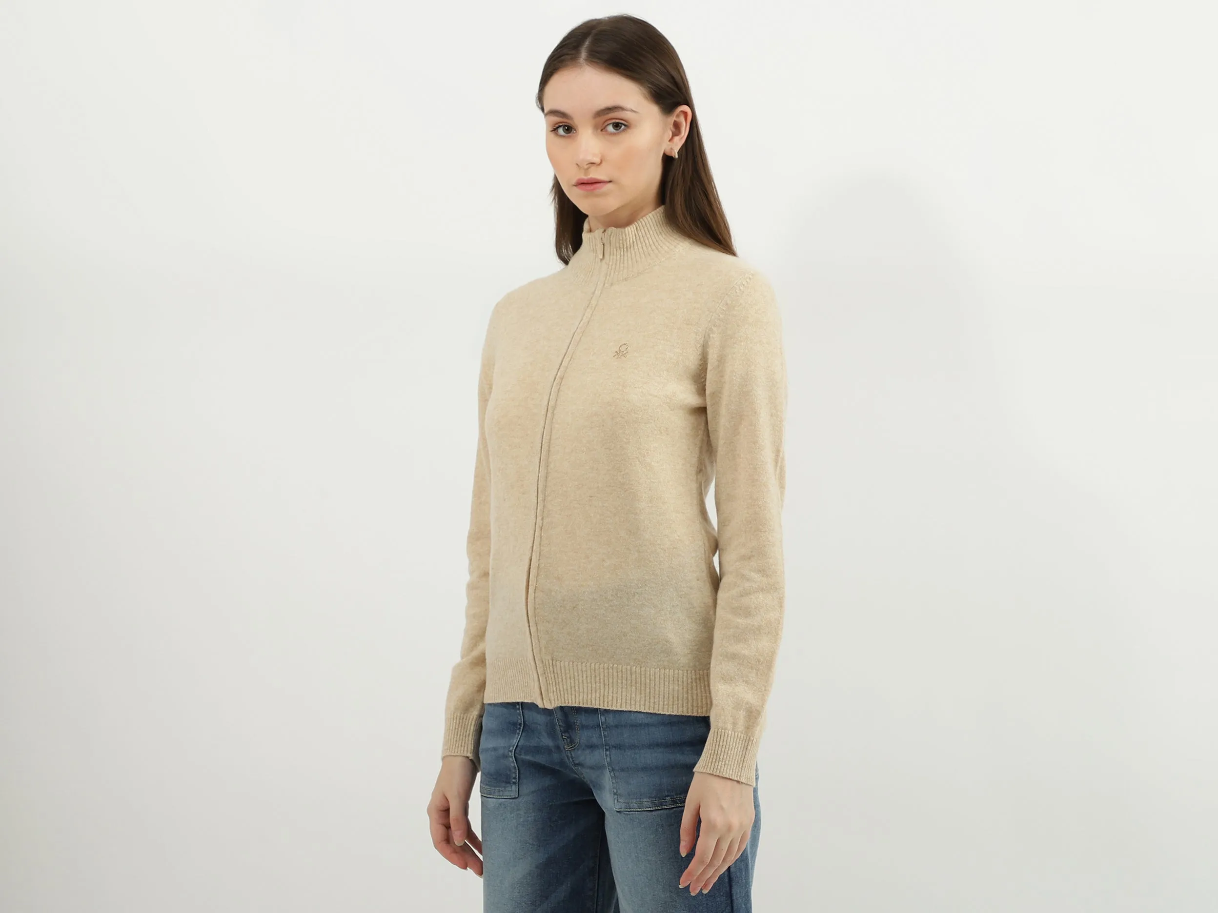 Women Solid High Neck Sweater